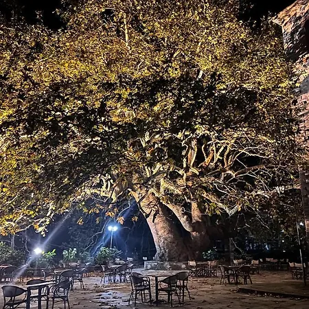 Tatil Evi Dandy Tsagkarada-green Apple-jacuzzi-sea View *