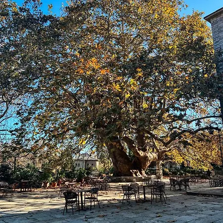 Dandy Tsagkarada-green Apple-jacuzzi-sea View Tatil Evi Tsagkarada