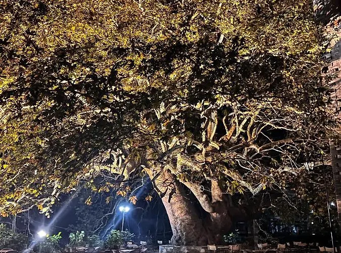 Holiday home Dandy Tsagkarada-green Apple-jacuzzi-sea View *