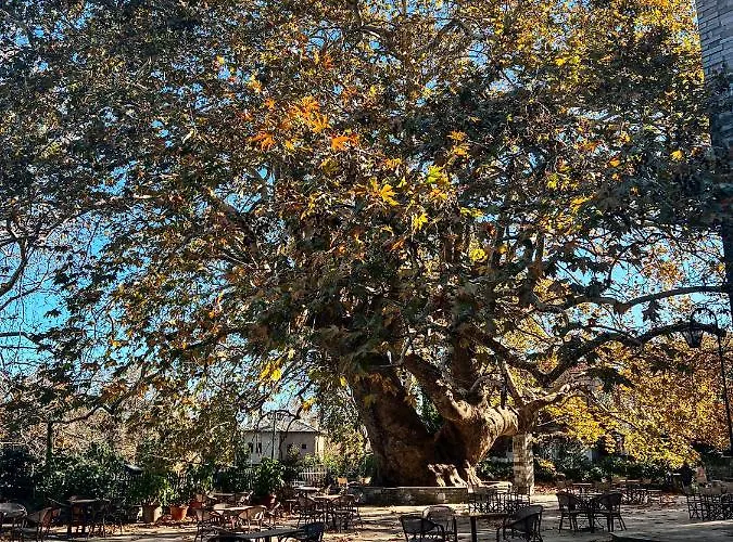 Dandy Tsagkarada-green Apple-jacuzzi-sea View Holiday home Tsagarada